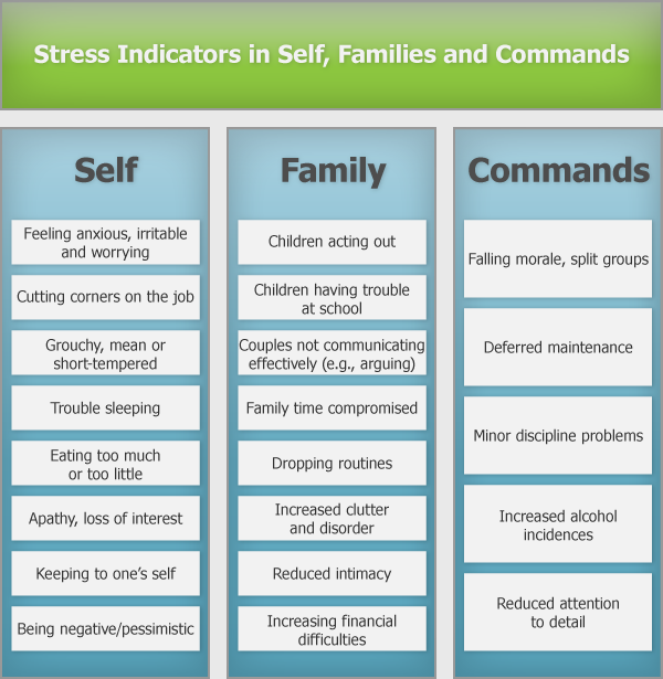 Stress Indicators