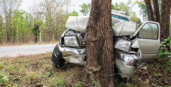 Front end of a car that has crashed into a tree