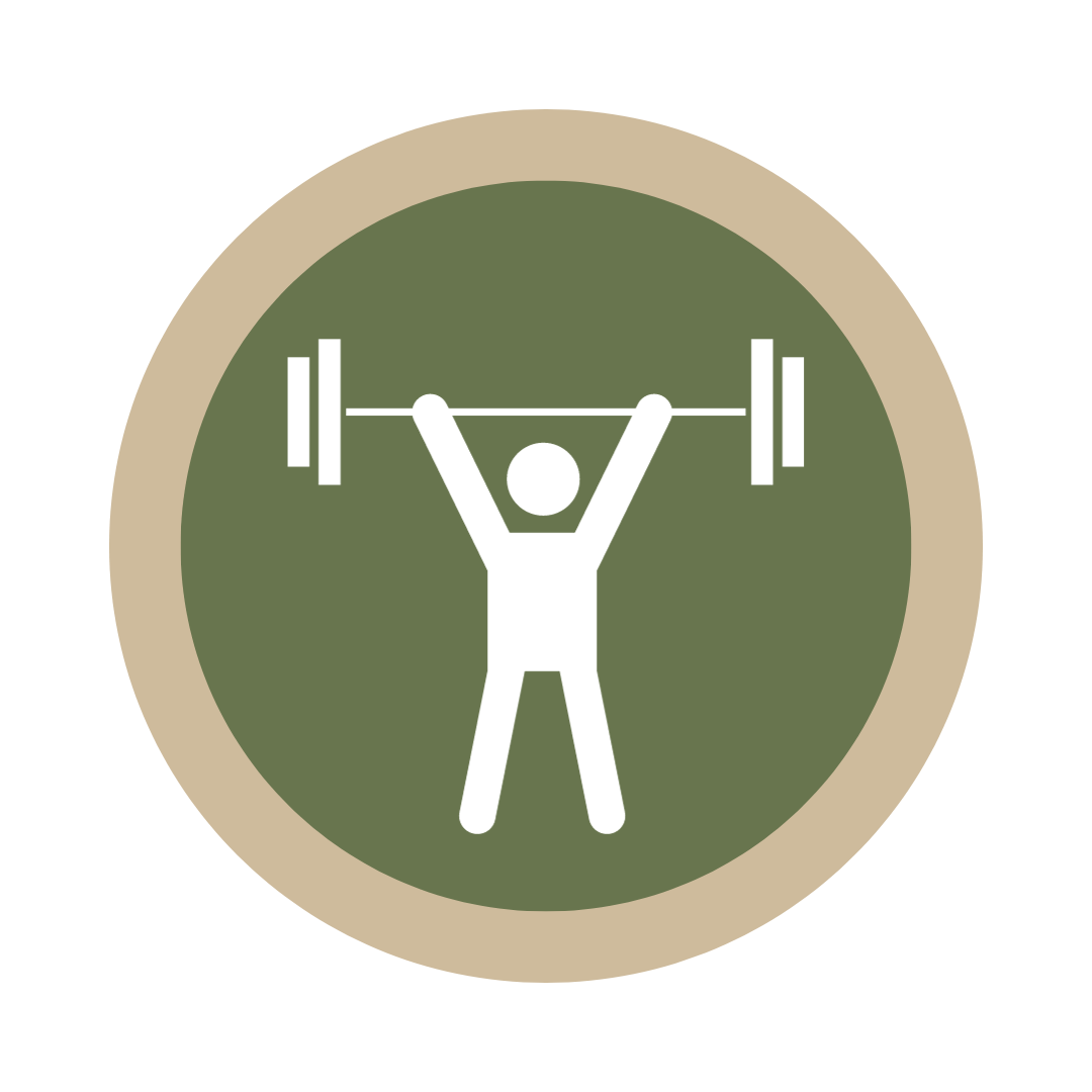 icon of a person lifting a weighted bar above their head